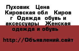 Пуховик › Цена ­ 2 500 - Кировская обл., Киров г. Одежда, обувь и аксессуары » Женская одежда и обувь   